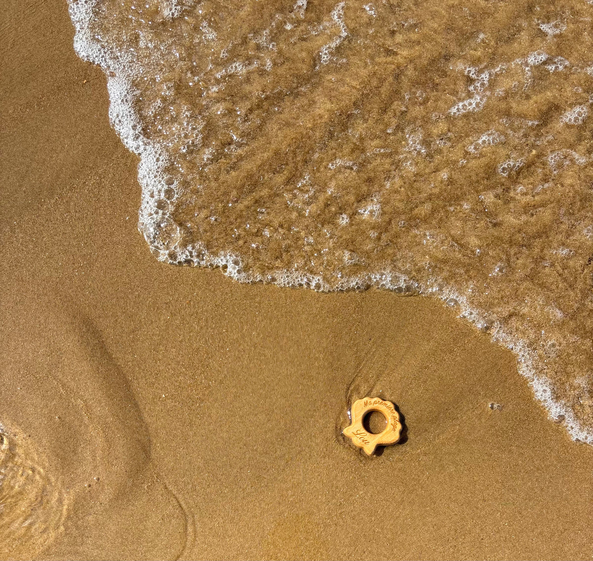 Coquillage ma première plage
