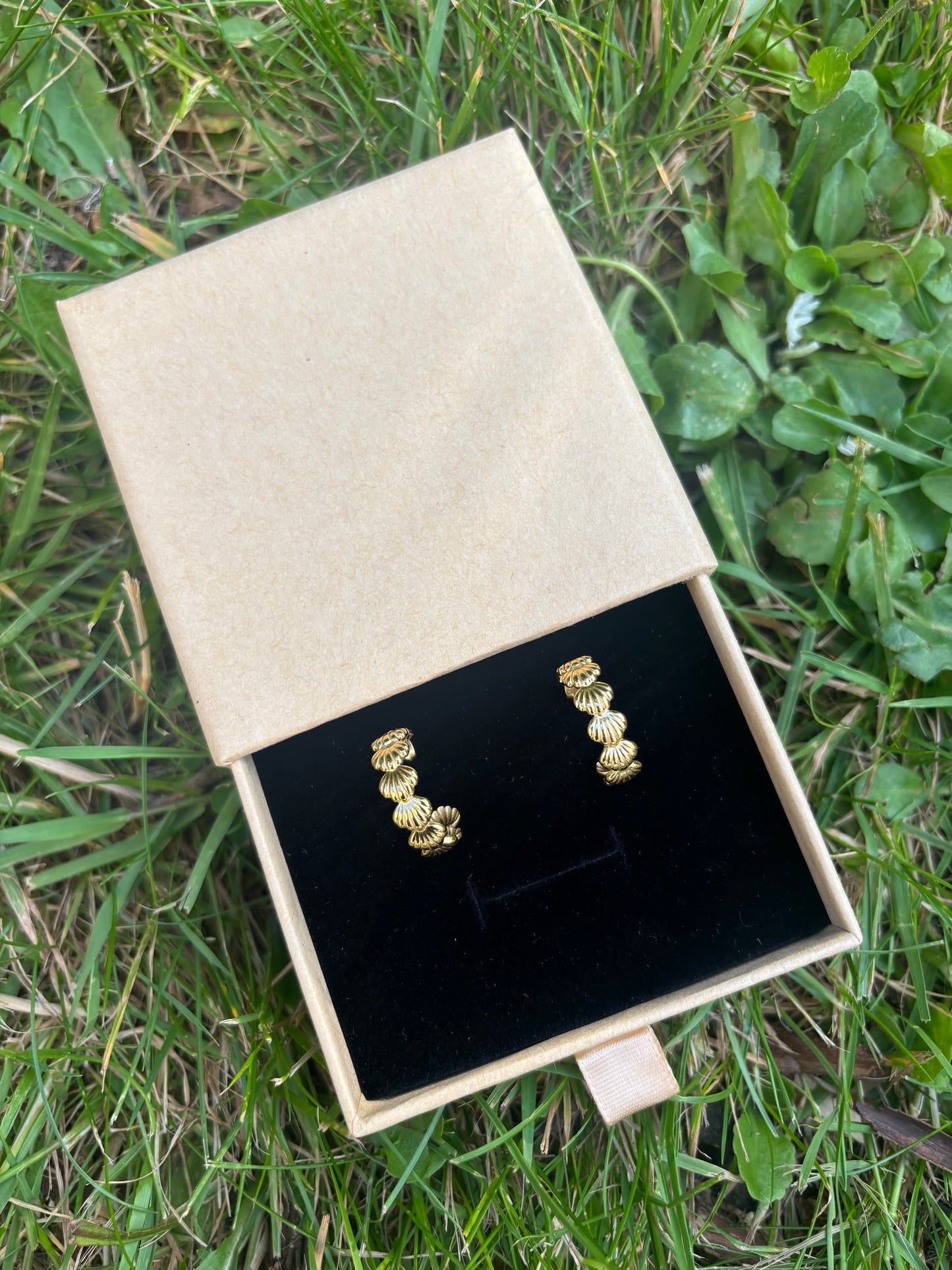 Boucles d'oreilles créoles coquillages