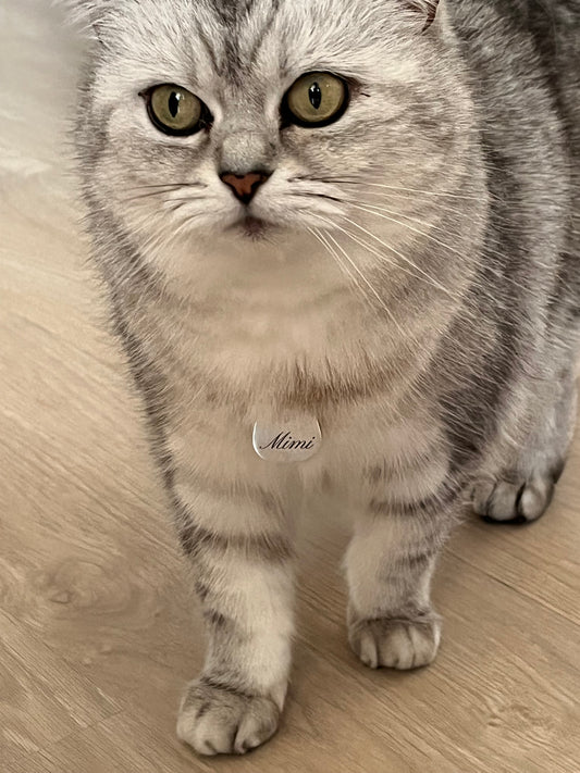 Médaille pour chat